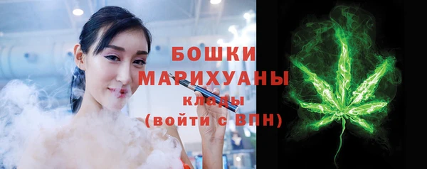 стаф Няндома