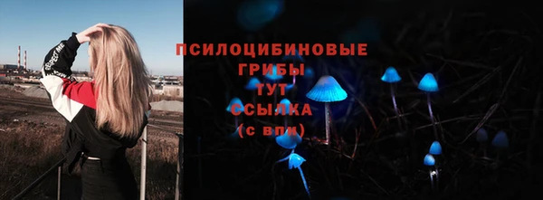 mdpv Нязепетровск