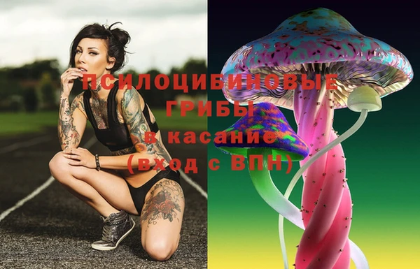 стаф Няндома